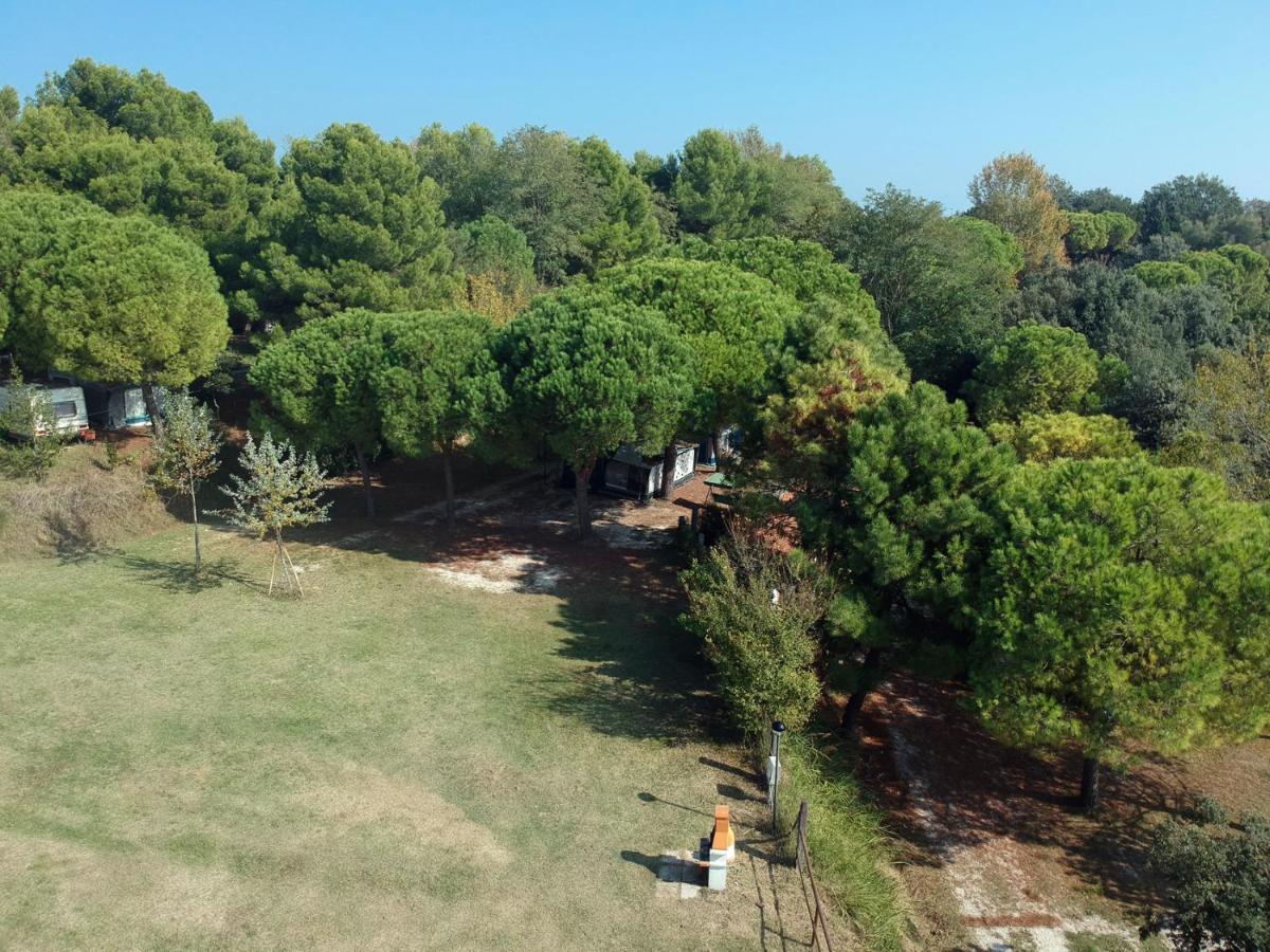 Camping Paradiso Pesaro Extérieur photo